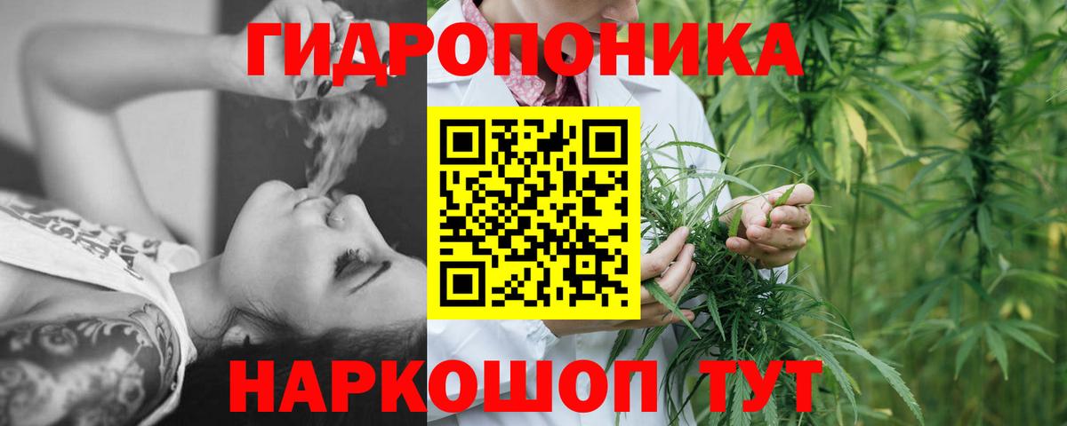 Бошки Шишки Bruce Banner  Вход с VPN  Конопля SATIVA & INDICA  Канабис план  Киселёвск 